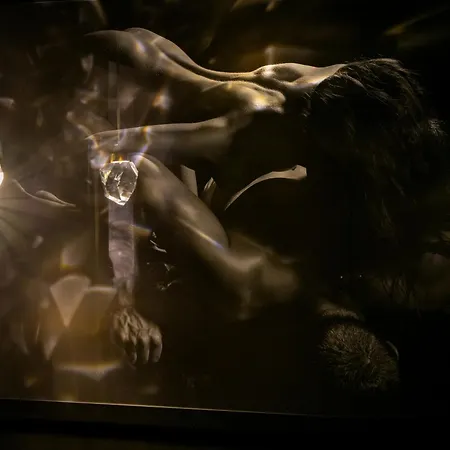 Oulala, Amour, Parking Prive Et Vive La Vie * Руан